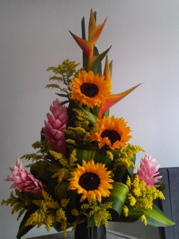 SOLITARIO EN GIRASOLES DESDE - Imagen 3