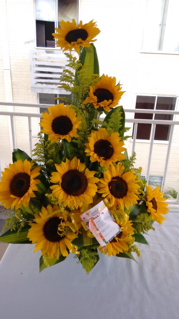 SOLITARIO EN GIRASOLES DESDE - Imagen 2